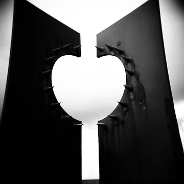 Artwork thumbnail, Apple Heart by Craig Roberts