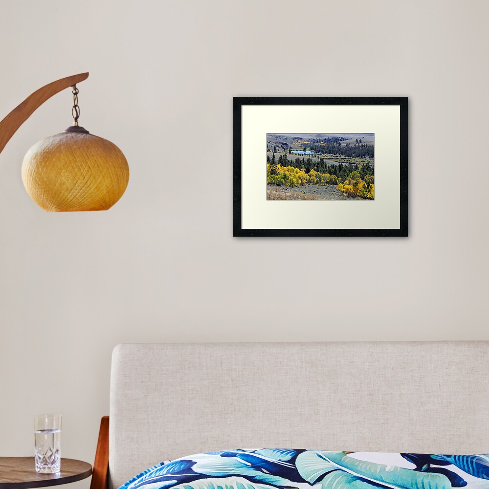 Aspen Gold at South Pass Framed Art Print