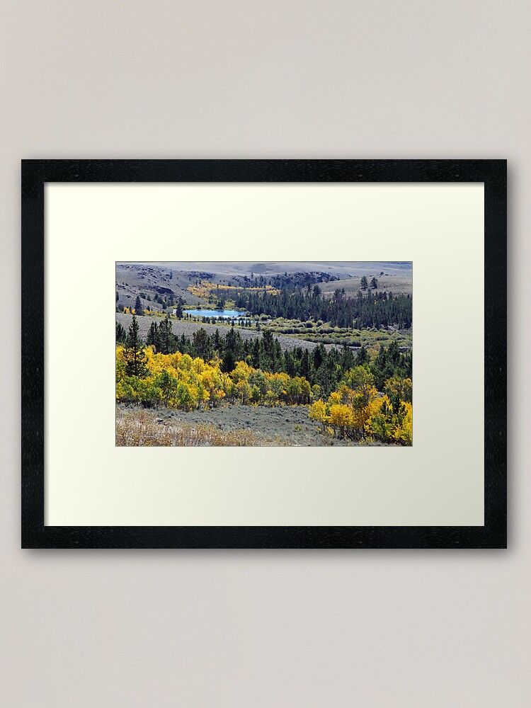 Alternate view of Aspen Gold at South Pass Framed Art Print