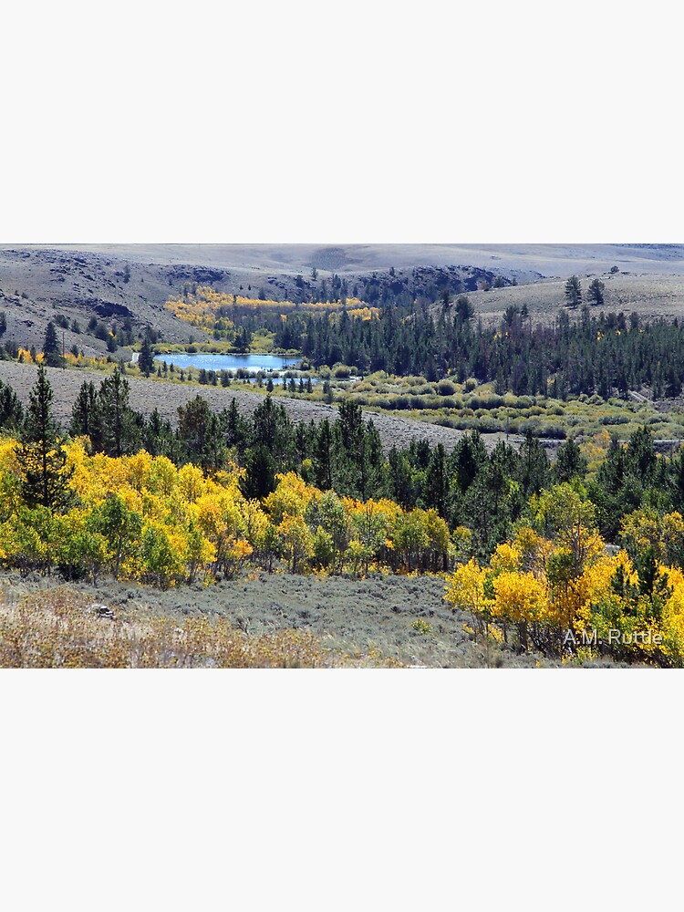 Aspen Gold at South Pass by annruttle