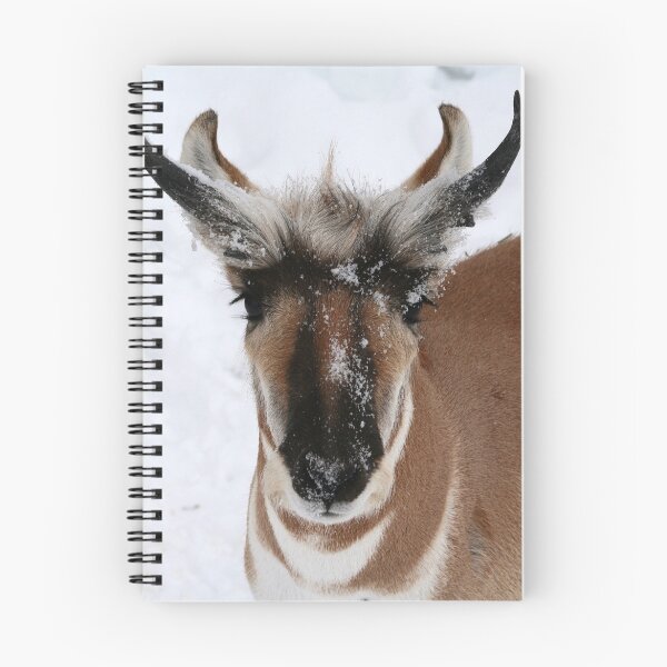 Item preview, THE PRONGHORN designed and sold by Larry Trupp.