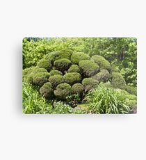 Topiary Metal Print