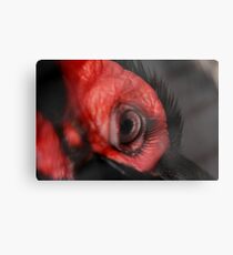 Check out these Eyelashes!!! Metal Print
