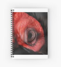 Check out these Eyelashes!!! Spiral Notebook