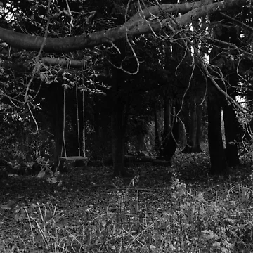 Artwork thumbnail, The Swing by Rees Adams