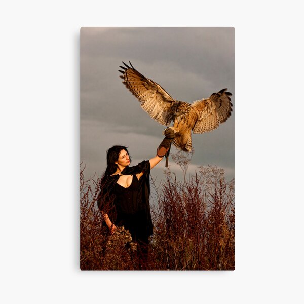The Owl Returns Canvas Print