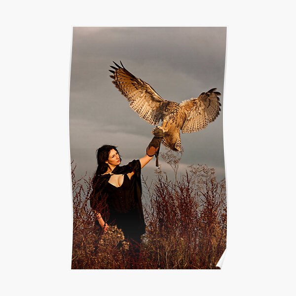 The Owl Returns Poster