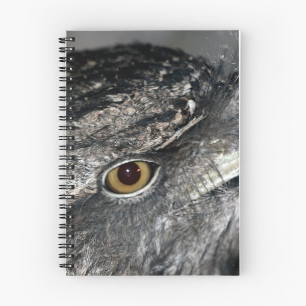 Item preview, Tawny Frogmouth designed and sold by Larry Trupp.
