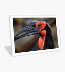 African Ground Hornbill Laptop Skin