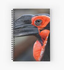 African Ground Hornbill Spiral Notebook