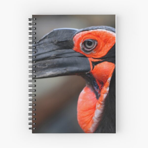 Item preview, African Ground Hornbill designed and sold by Larry Trupp.