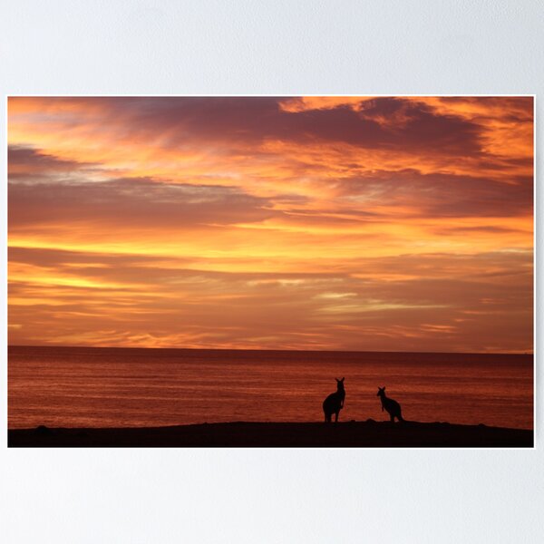 Item preview, Emerald Beach NSW designed and sold by AussieCamera.