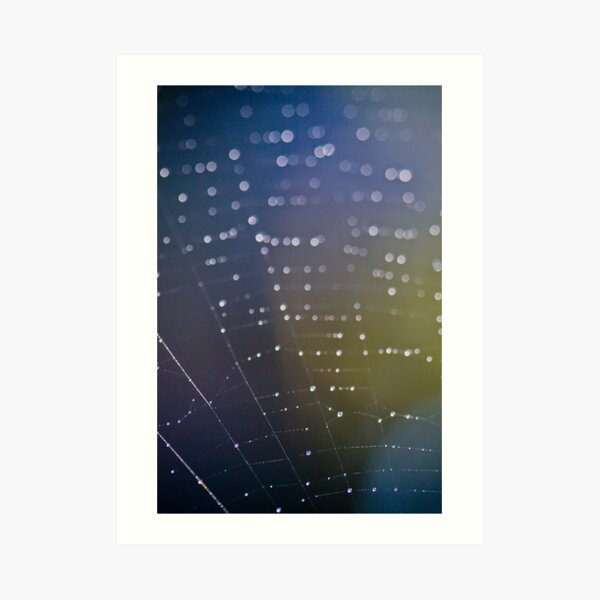 Starry Skies Art Print