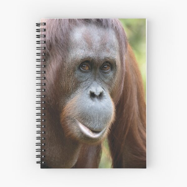 Item preview, Pongo pygmaeus designed and sold by Mythos57.
