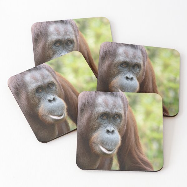Item preview, Pongo pygmaeus designed and sold by Mythos57.