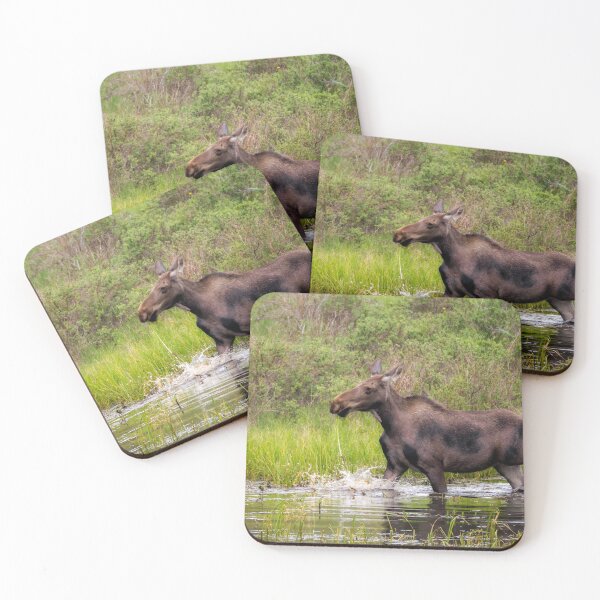 Item preview, Young Moose running in the water designed and sold by Alla Gill.