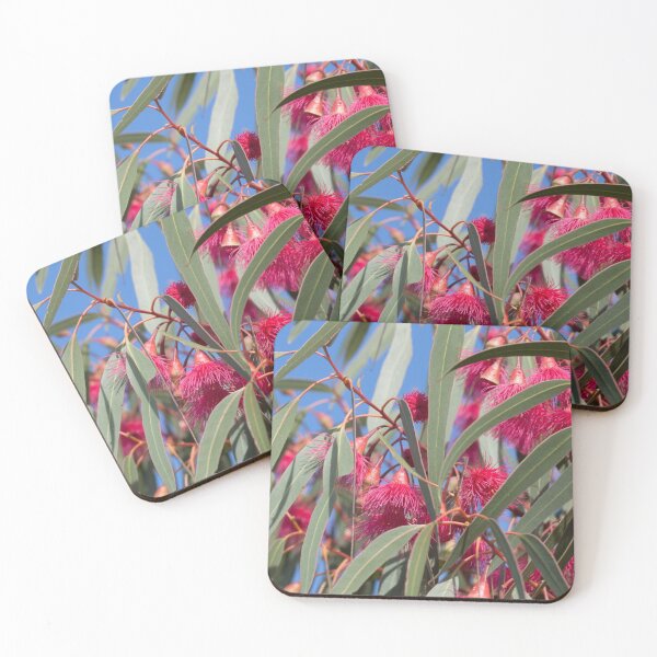 Item preview, Eucalyptus petiolaris designed and sold by Amy Akers.