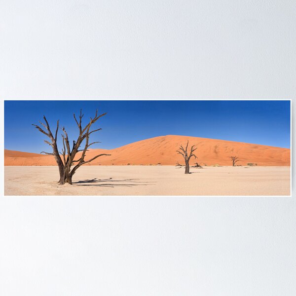 Item preview, Deadvlei Panorama designed and sold by Scott Carr.