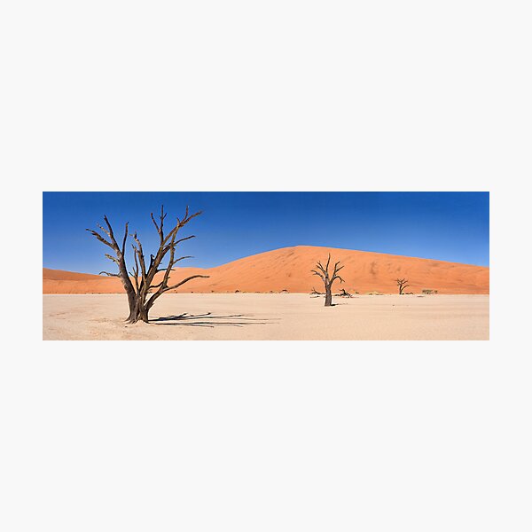 Item preview, Deadvlei Panorama designed and sold by Scott Carr.