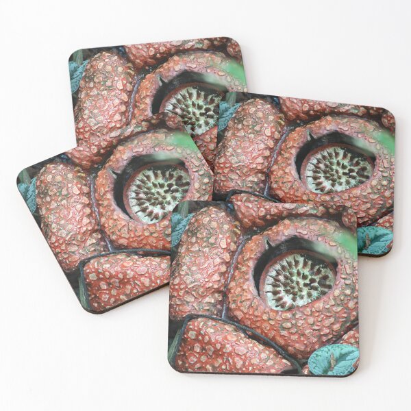 Item preview, Rafflesia arnoldii biggest flower Carnivorous plant designed and sold by goceris.