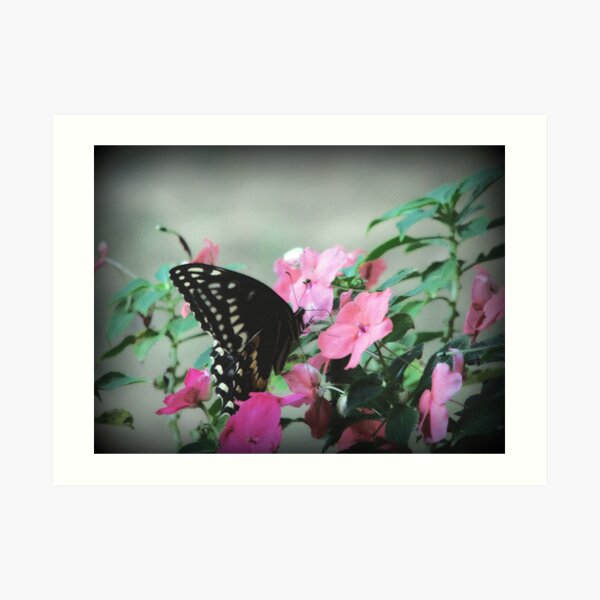 A Butterflies Life Art Print