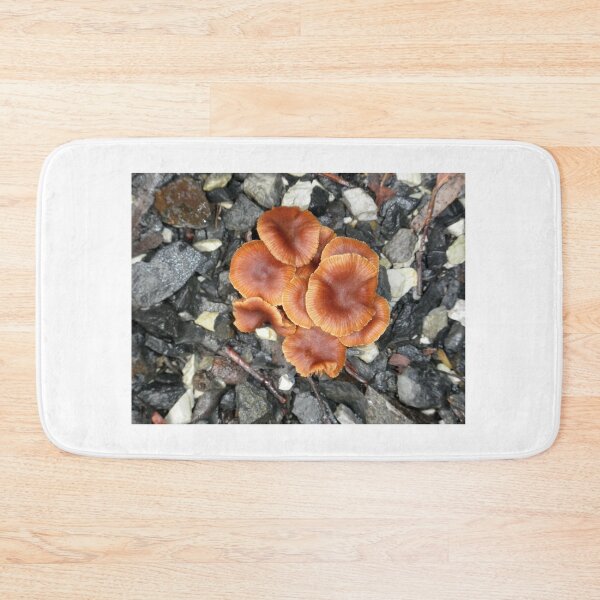 Item preview, Group of Brown Fungi, Cradle Mountain, Tasmania, Australia. designed and sold by kaysharp.