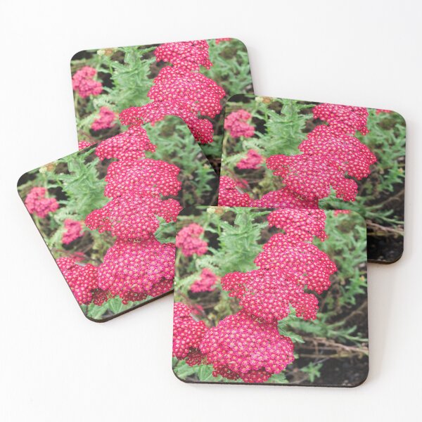 Item preview, Laura Yarrow flower design designed and sold by santoshputhran.