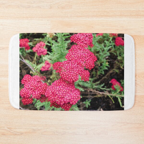 Item preview, Laura Yarrow flower design designed and sold by santoshputhran.