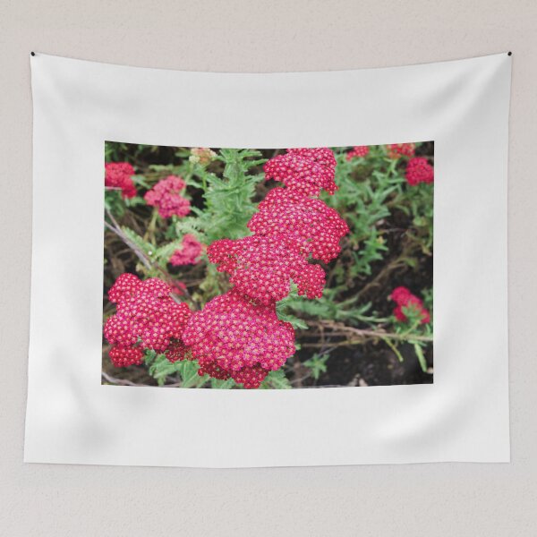 Item preview, Laura Yarrow flower design designed and sold by santoshputhran.