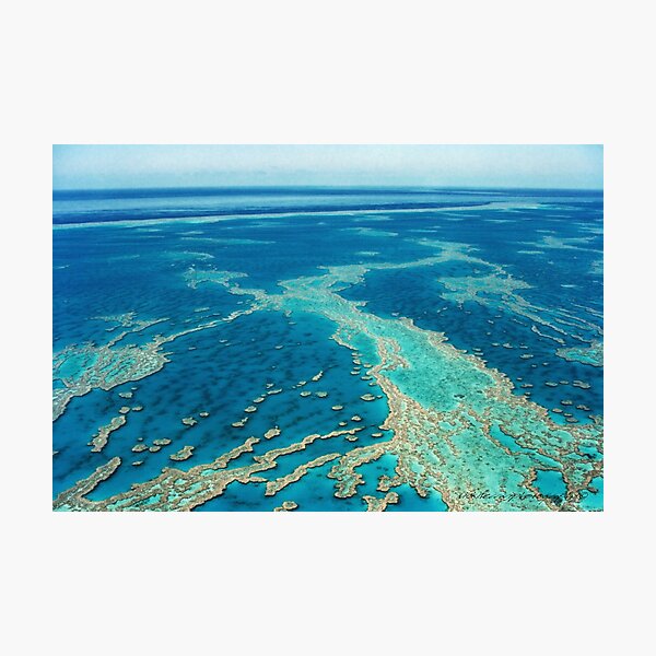 The Great Barrier Reef © Vicki Ferrari Photographic Print