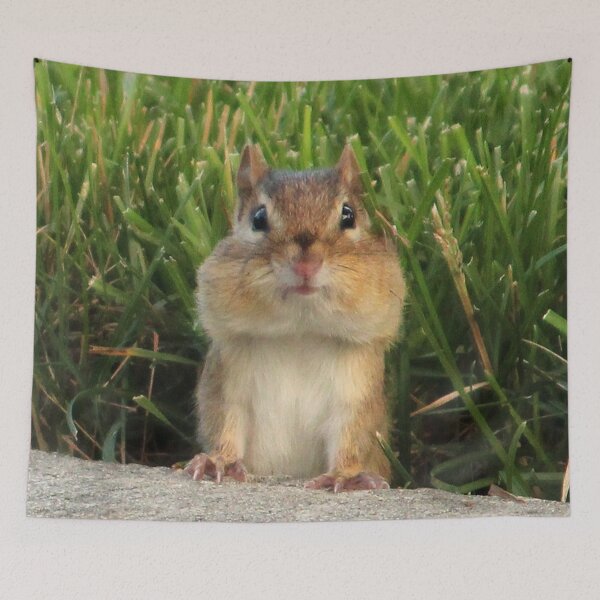 Item preview, Peek A Boo designed and sold by Susie Kramer.