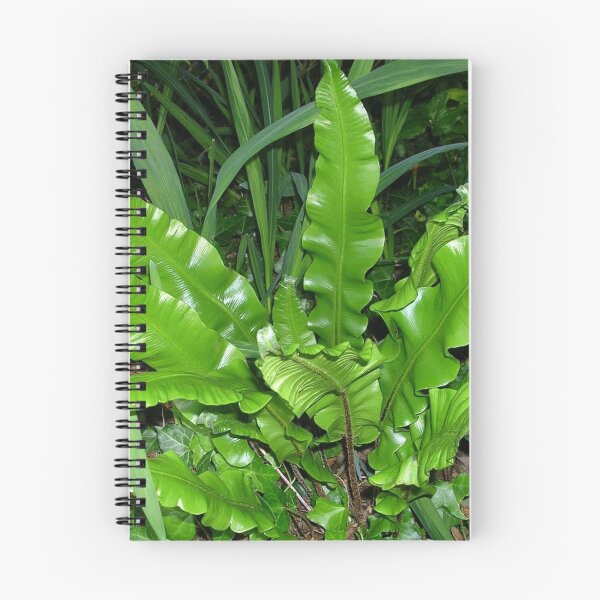 Item preview, Harts Tongue Fern designed and sold by lezvee.