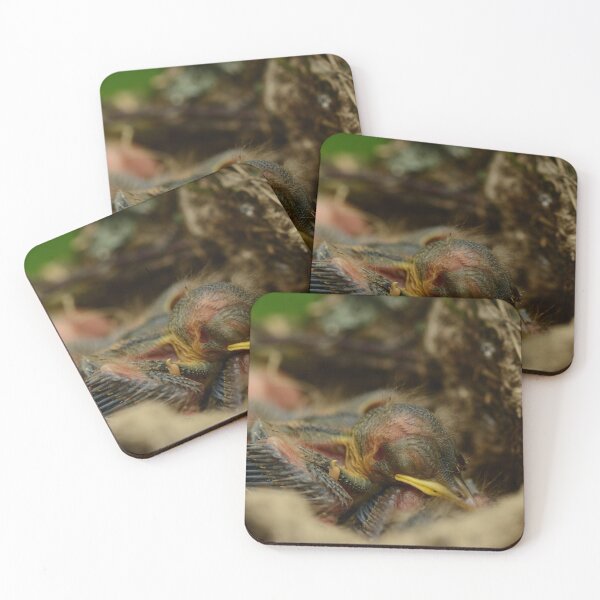 Item preview, Nestling with yellow beak sleeping in a nest with a mosquito on his head designed and sold by yarvin13.