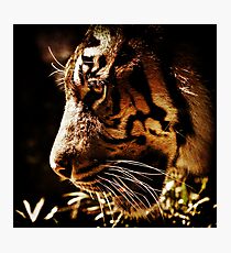 Absolute Focus Photographic Print