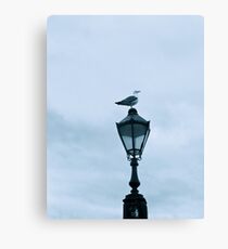 Playful Canvas Print