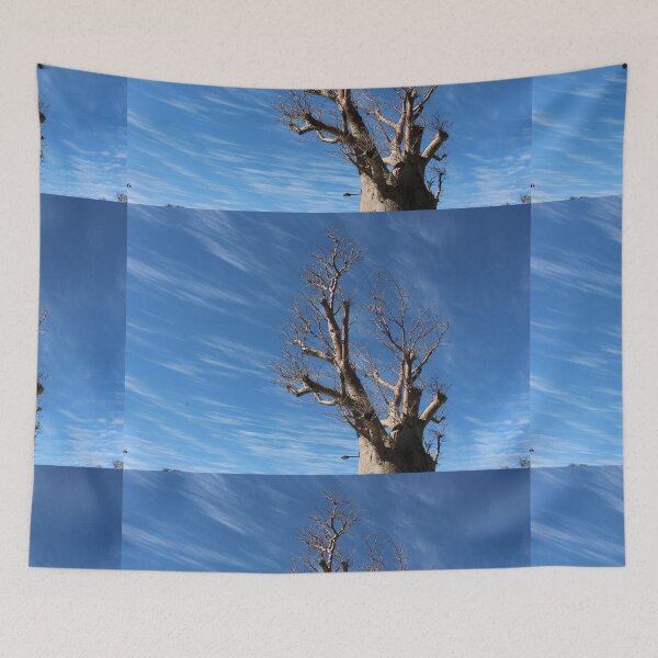 Item preview, Australian Boab tree with beautiful blue sky designed and sold by Matat Lipsky.