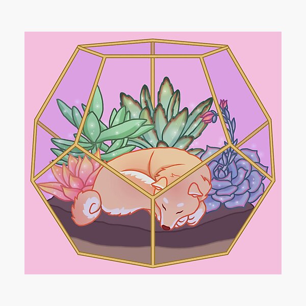 Item preview, Shiba Terrarium designed and sold by Kelsey Smith.