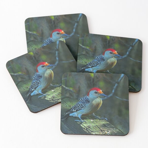 Item preview, Red-Bellied Woodpecker #3 designed and sold by glink.