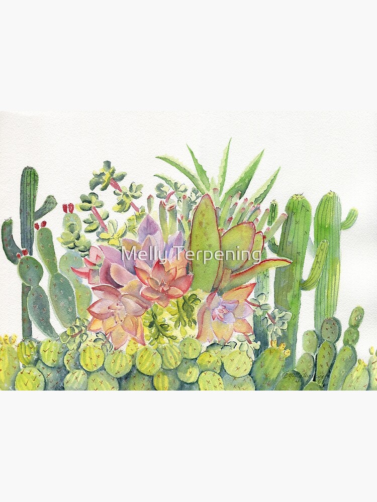 Cactus Garden Watercolor by MellyTerp