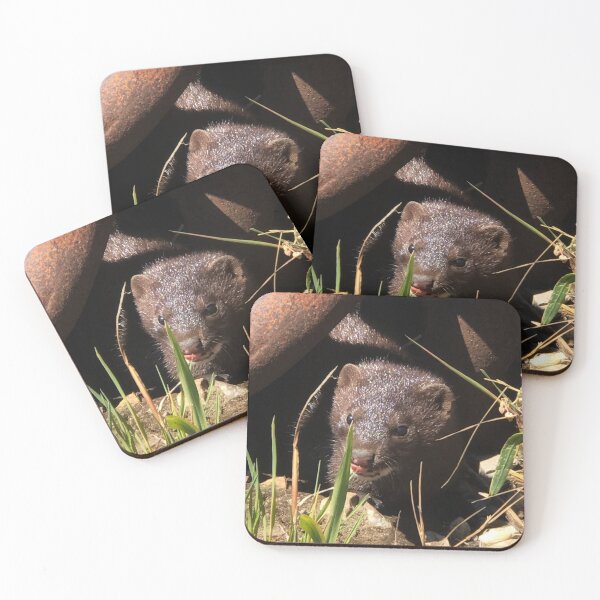 Item preview, Showing a bit of Attitude  designed and sold by Chris Coates Photography.com.
