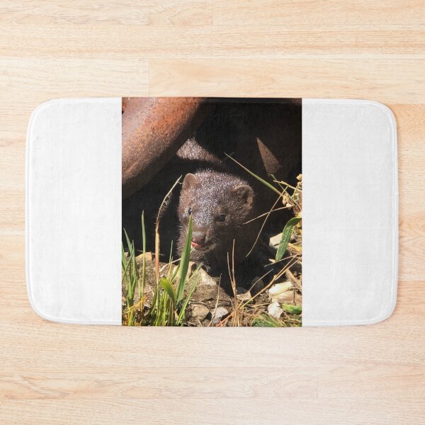 Item preview, Showing a bit of Attitude  designed and sold by Chris Coates Photography.com.