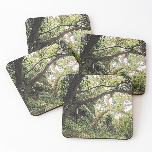 Item preview, *Magical Forest* designed and sold by julietsdream.