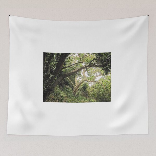 Item preview, *Magical Forest* designed and sold by julietsdream.