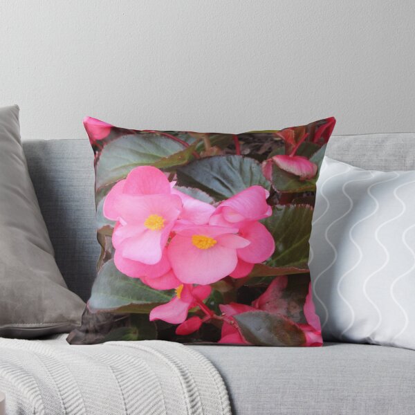 Item preview, Pink Begonia designed and sold by Susie Kramer.