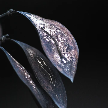 Artwork thumbnail, Seasoned by Ravi Ghattamaneni