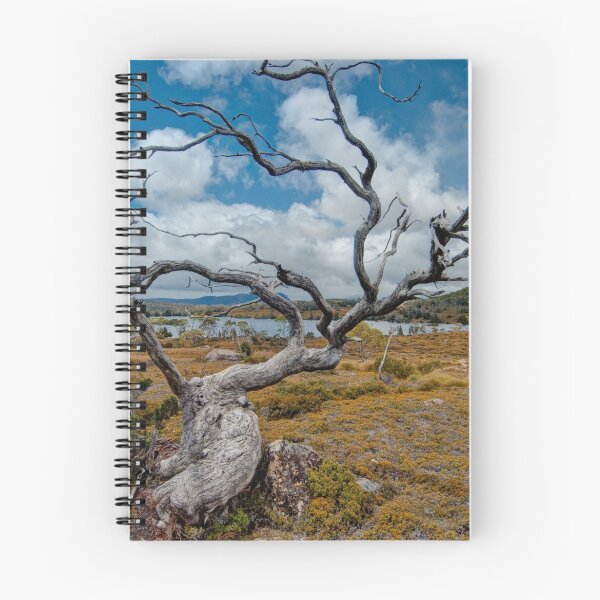 Item preview, Lake Windermere, Tasmania designed and sold by Erik Schlogl.
