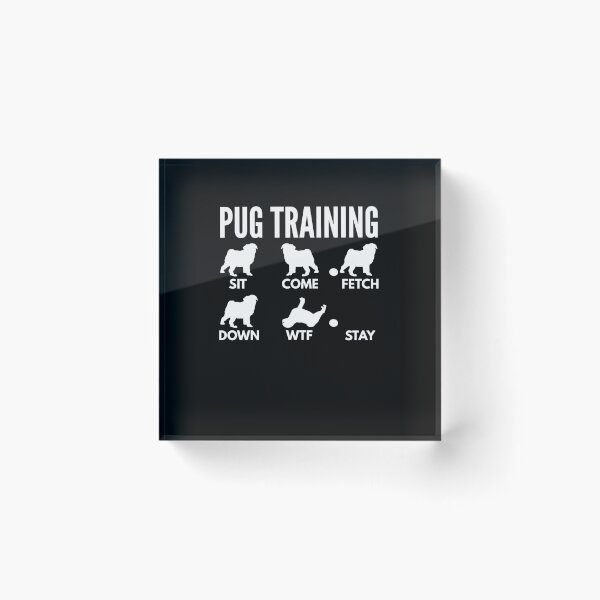 Item preview, Entrenamiento Pug - Trucos Pug designed and sold by DoggyStyles.