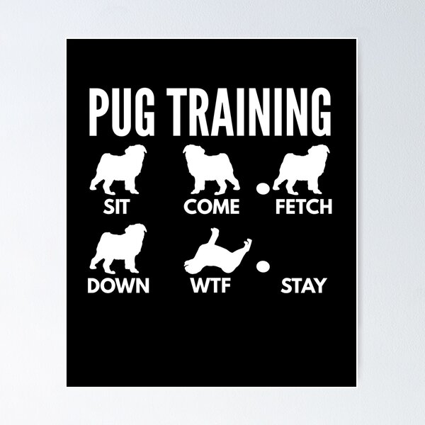 Item preview, Pug Training - Pug Tricks designed and sold by DoggyStyles.