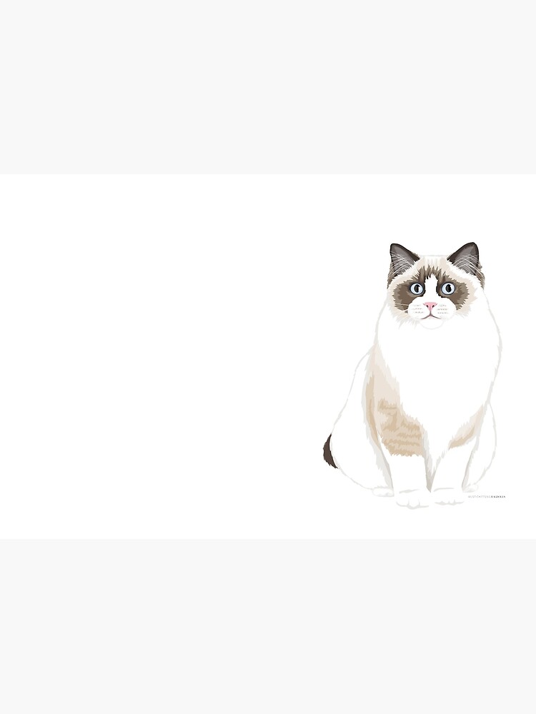 Seal Bicolor Ragdoll by rustickittens
