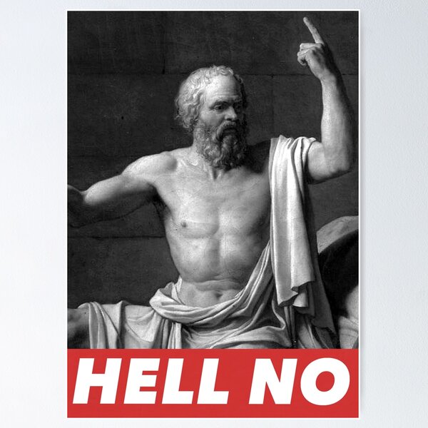 HELL NO Poster for Sale by aleatoryz
